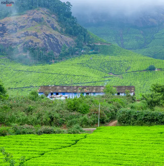 Munnar