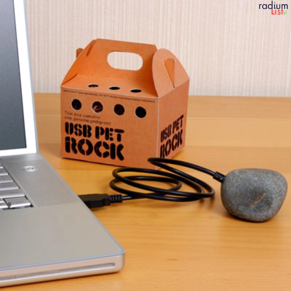 USB Pet Rock