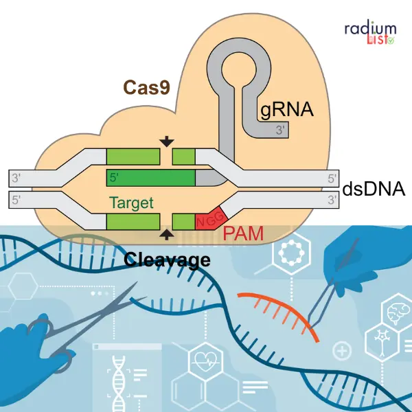 CRISPR Gene Editing