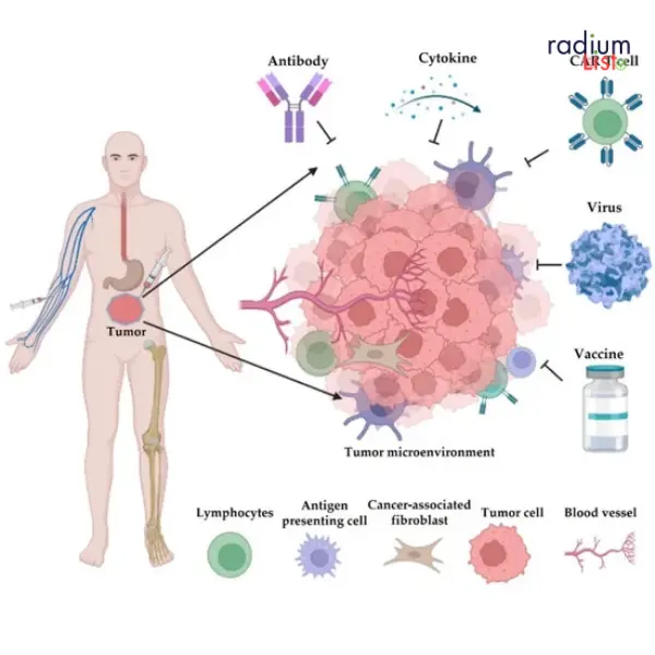 Immunotherapy Advancements